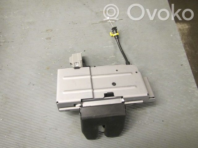Loading door lock   31253053