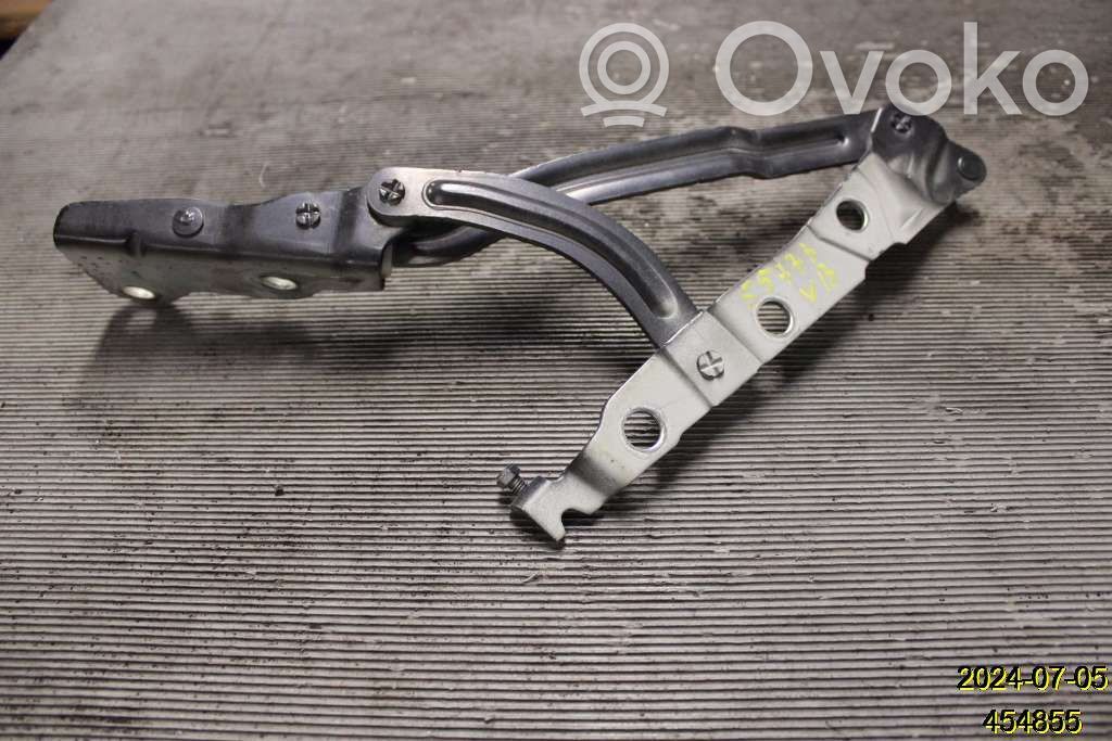 Tailgate/trunk/boot hinge   31278385