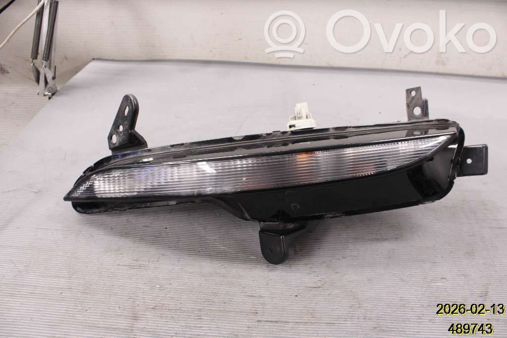 Frontblinker   261306376R