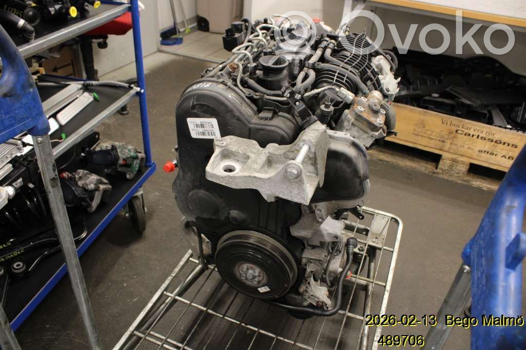 Engine   36010065,6906341,D4204T9
