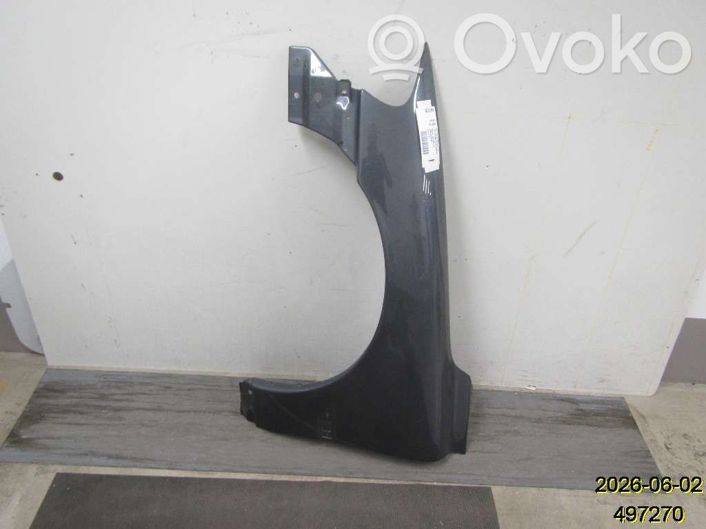 Guardabarro   30796492