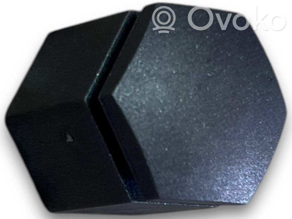 Kėbulo modulis   13160976