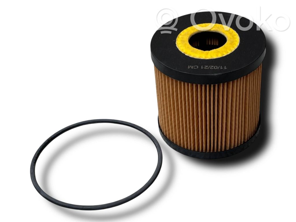 Alfa Romeo 155 Oro filtras 
