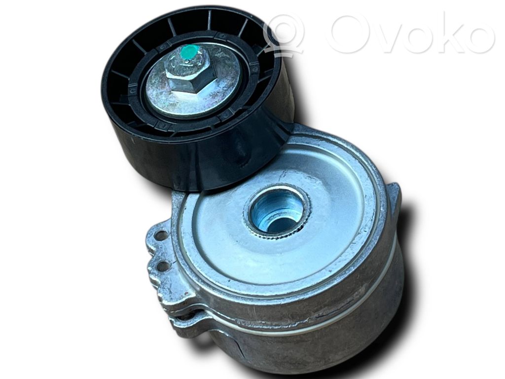 Generatoriaus diržas   D650,9653522780