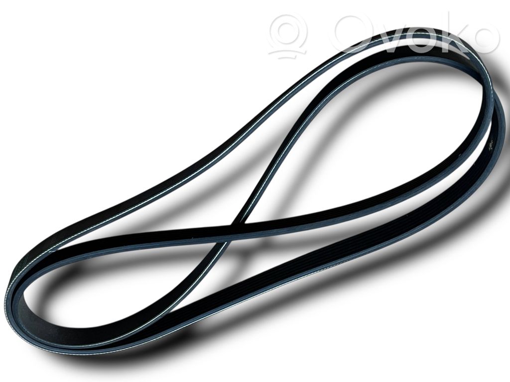 Ģeneratora siksna   D656,93172397