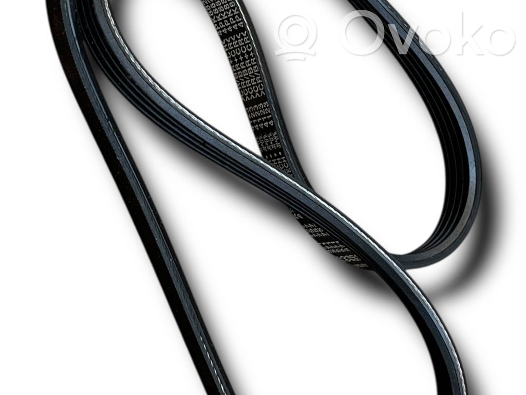 Generatoriaus diržas   D697,90571757