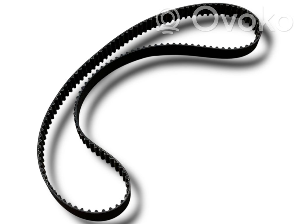 Fiat Idea Alternator belt 