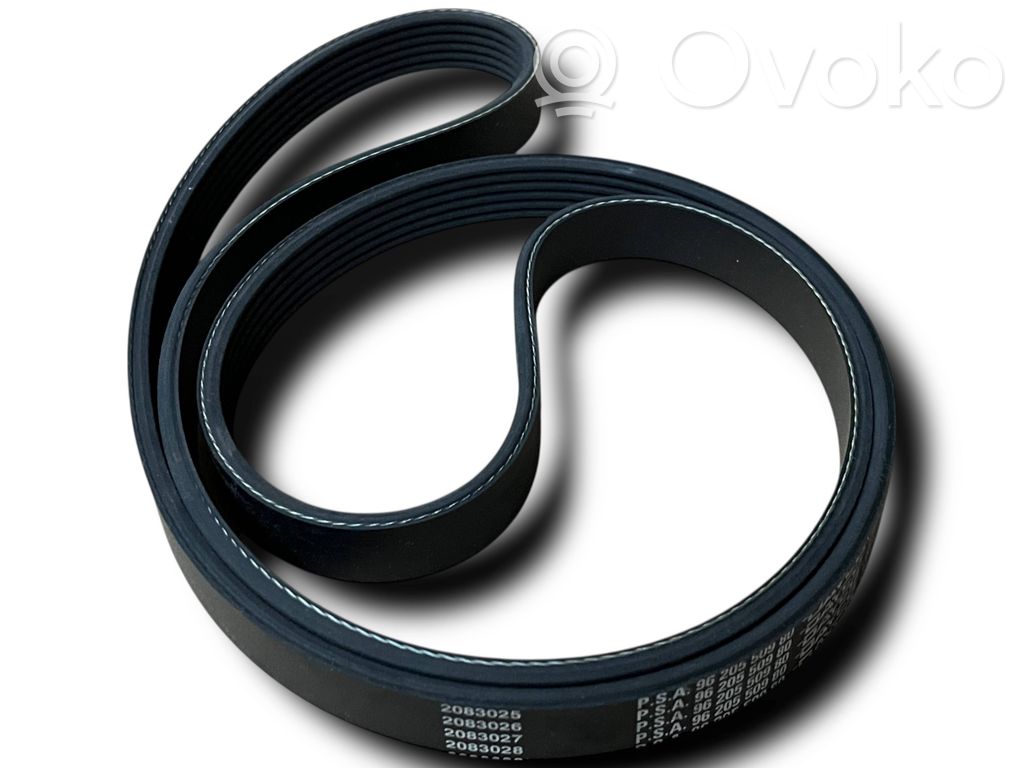 Ģeneratora siksna   D710,9620550980