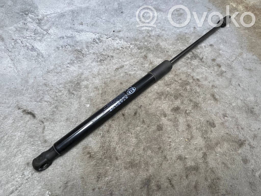 Tailgate/trunk strut/damper   81770A2000