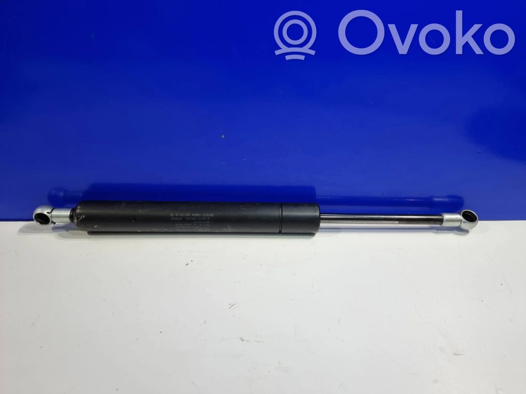 Tailgate/trunk strut/damper   4699260,12768264