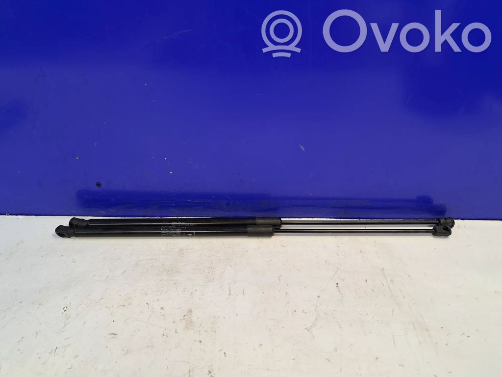 Porsche Cayenne (92A) Ammortizzatore portellone anteriore/cofano 