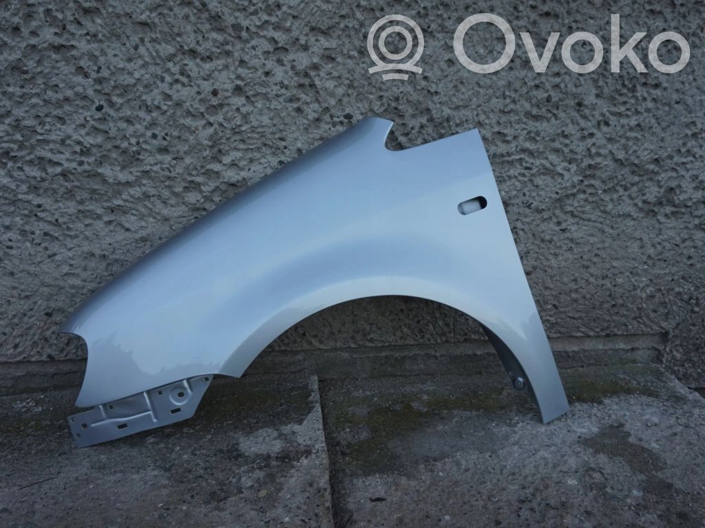 Fender