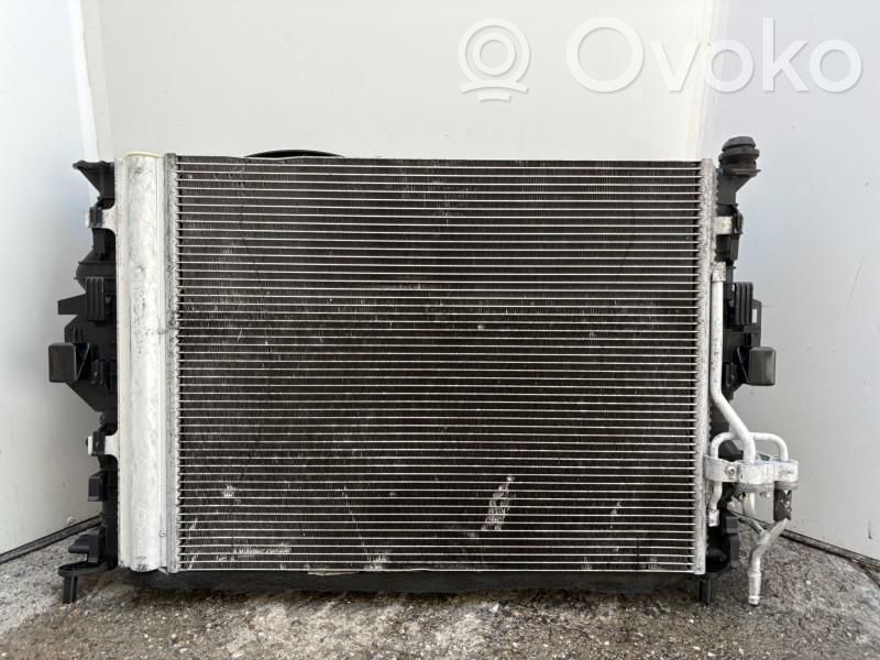 Radiator set   CV618C607EB,CV6119710JA