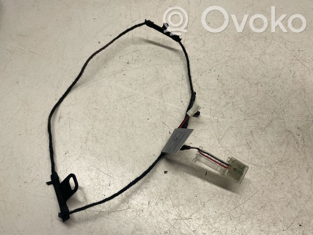 BMW X5 E70 Front door handle light (exterior) 