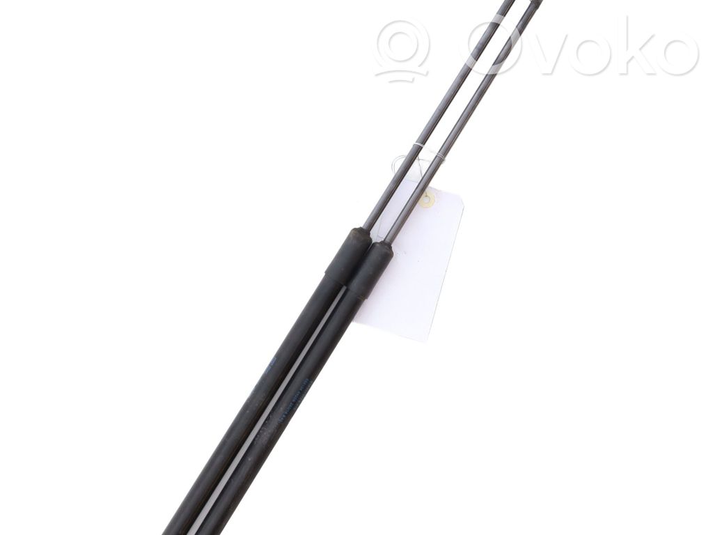 Audi Q2 - Tailgate/trunk strut/damper 