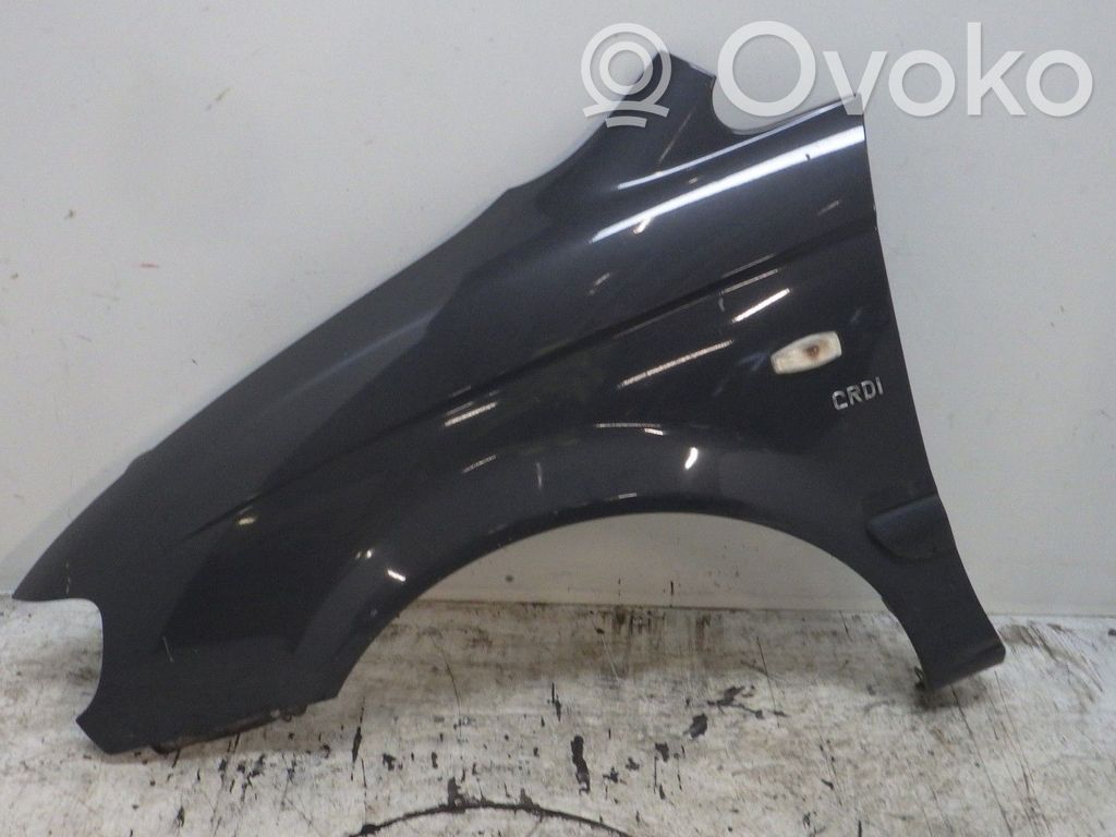 Hyundai Trajet Guardabarro 