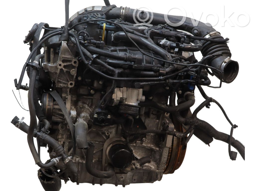 Ford Kuga II Variklis 