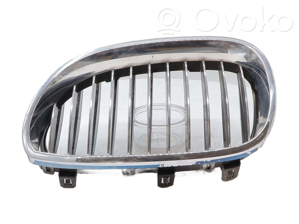 Front grill   51137065702