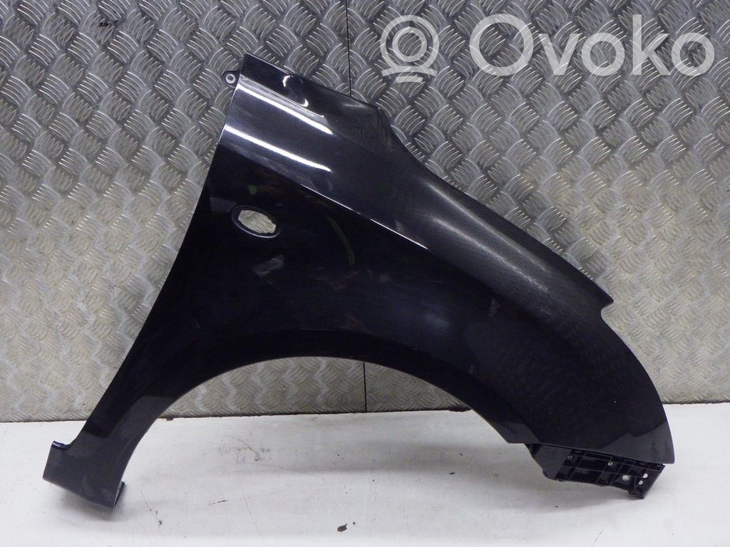 Guardabarro   5761163J20