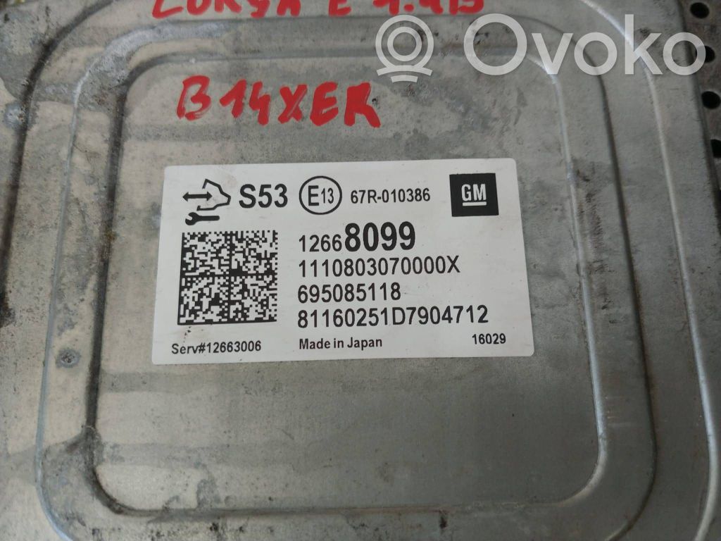 Galios (ECU) modulis   67R010386,12668099,1110803070000X,695085118