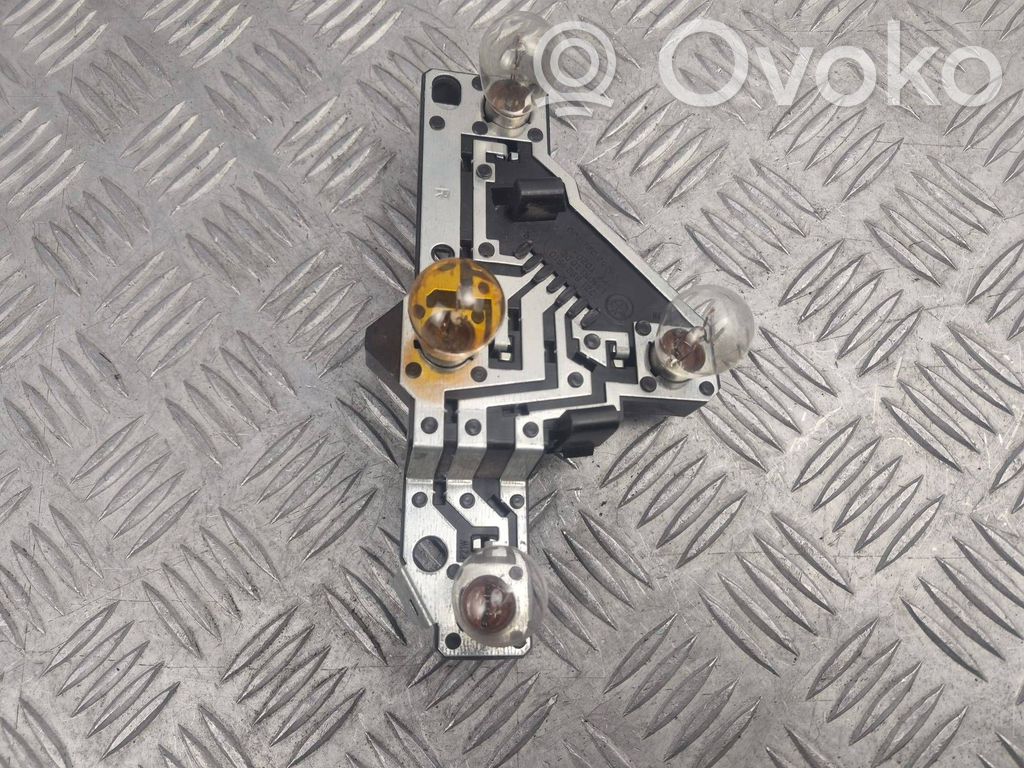 Tail light bulb cover holder   6924510,00391100