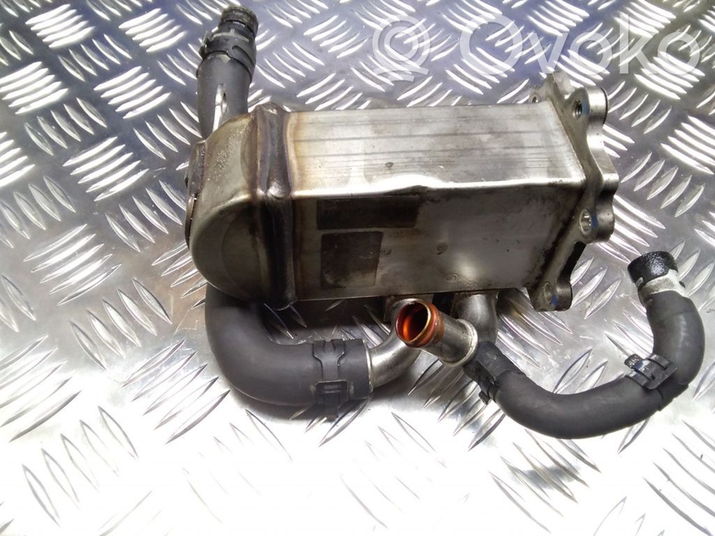 Audi A6 S6 C6 4F EGR aušintuvas 