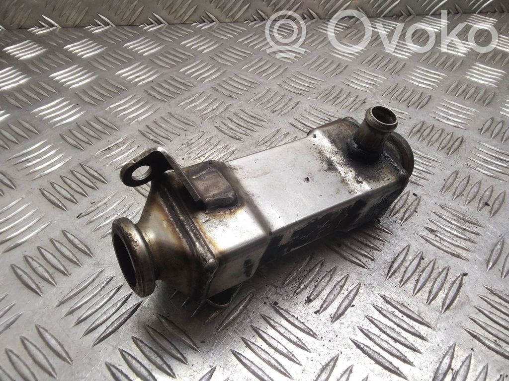 BMW 3 E46 EGR dzesētājs 