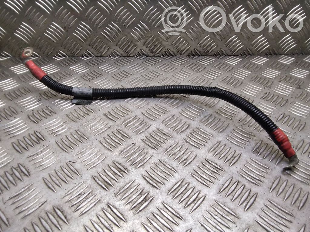 Positive cable (battery)   7789221,7789222,778922201