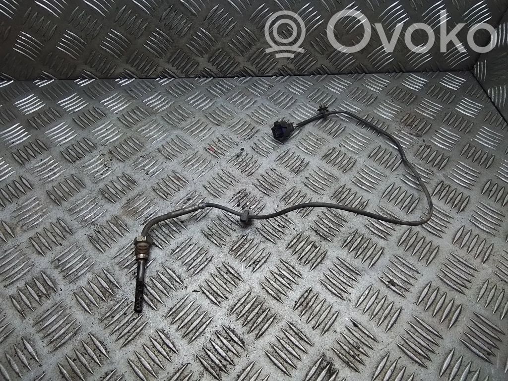 Chevrolet Captiva Exhaust gas temperature sensor 