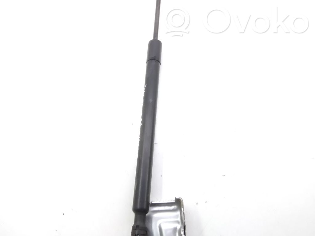 Renault Clio IV Tailgate/trunk strut/damper 
