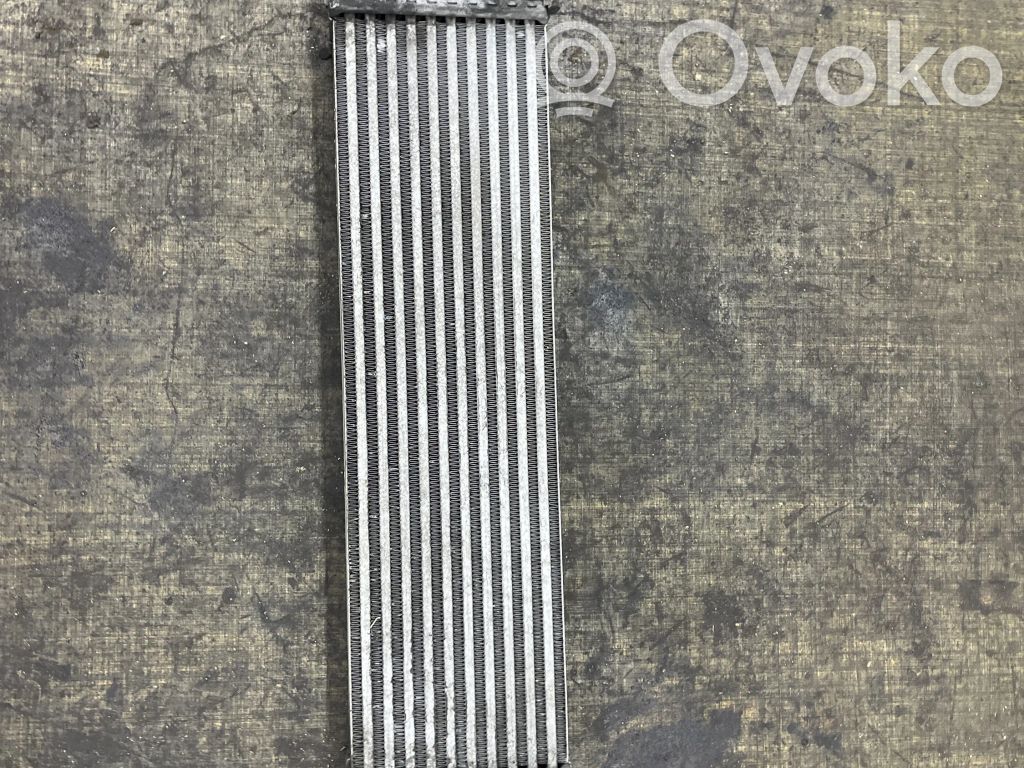 BMW 5 F10 F11 Interkūlerio radiatorius 