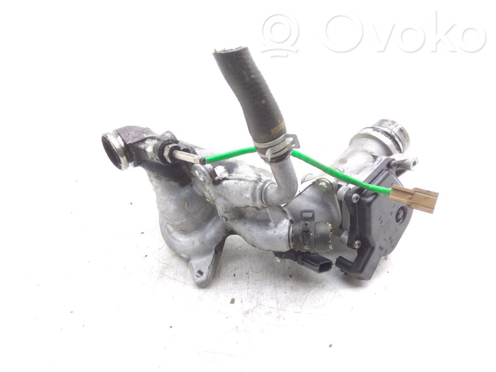 Válvula EGR   161A09287R