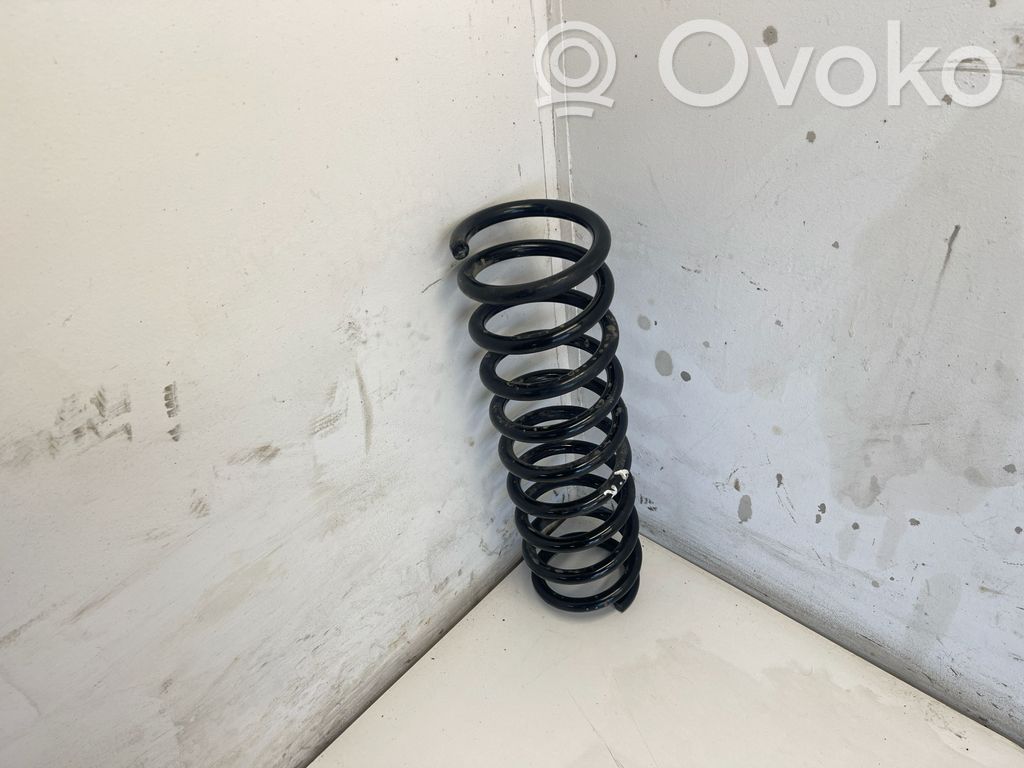 Rear coil spring