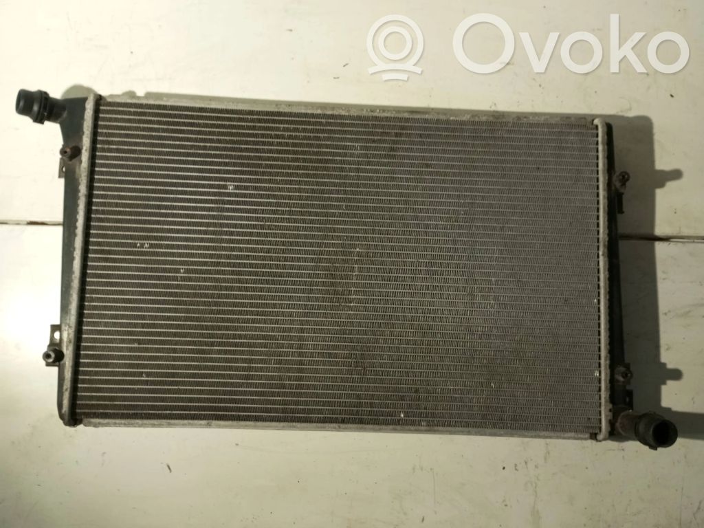 Volkswagen Golf V Peleninė panelėje 