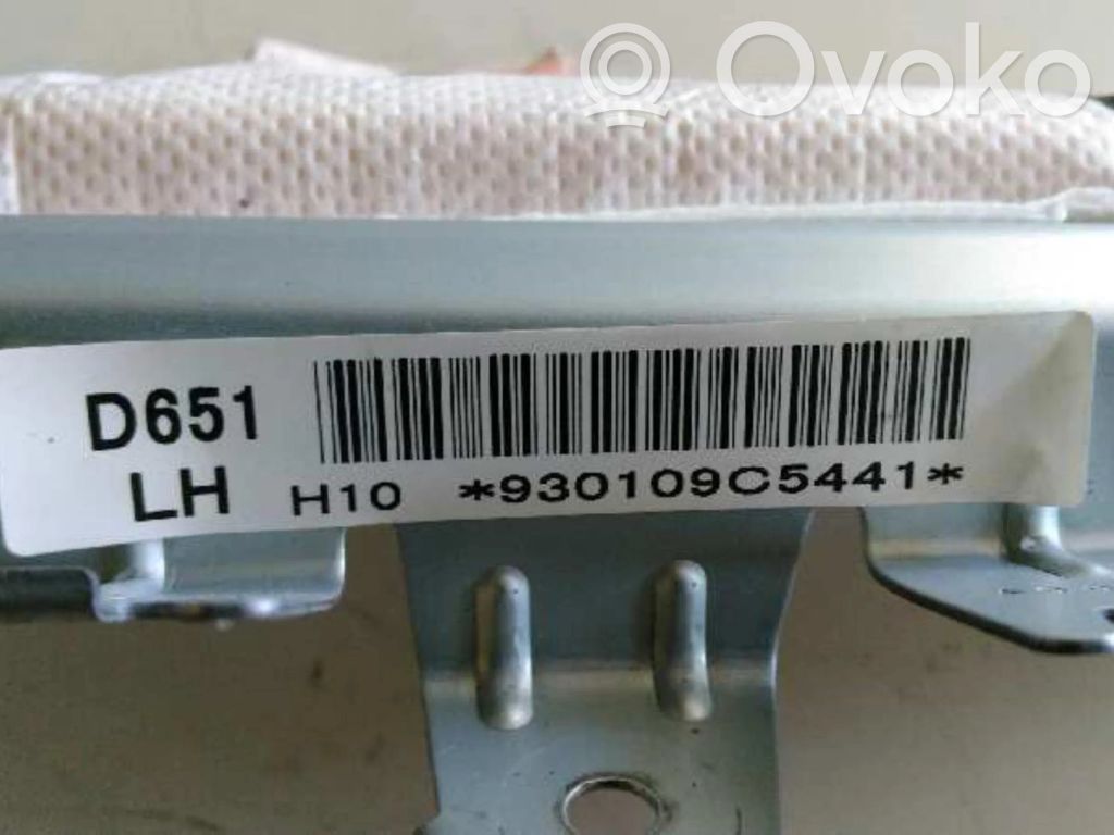 Side airbag   D651LH