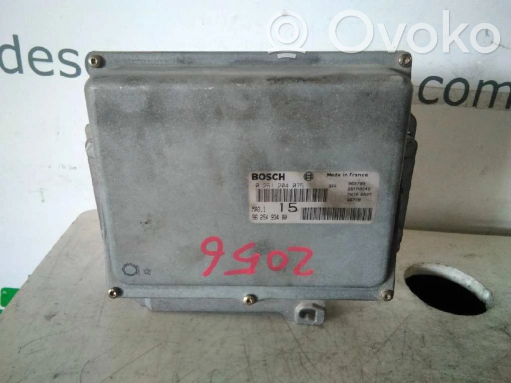 Engine control unit/module ECU   0261204075