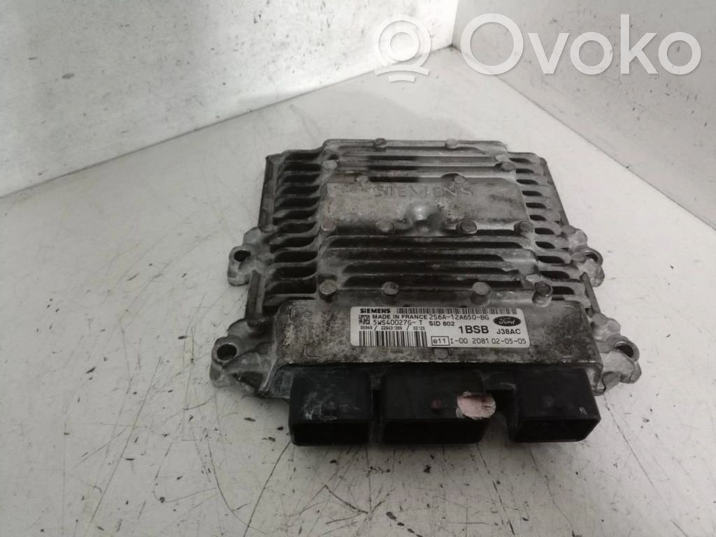 Engine control unit/module ECU   1BSBJ38AC