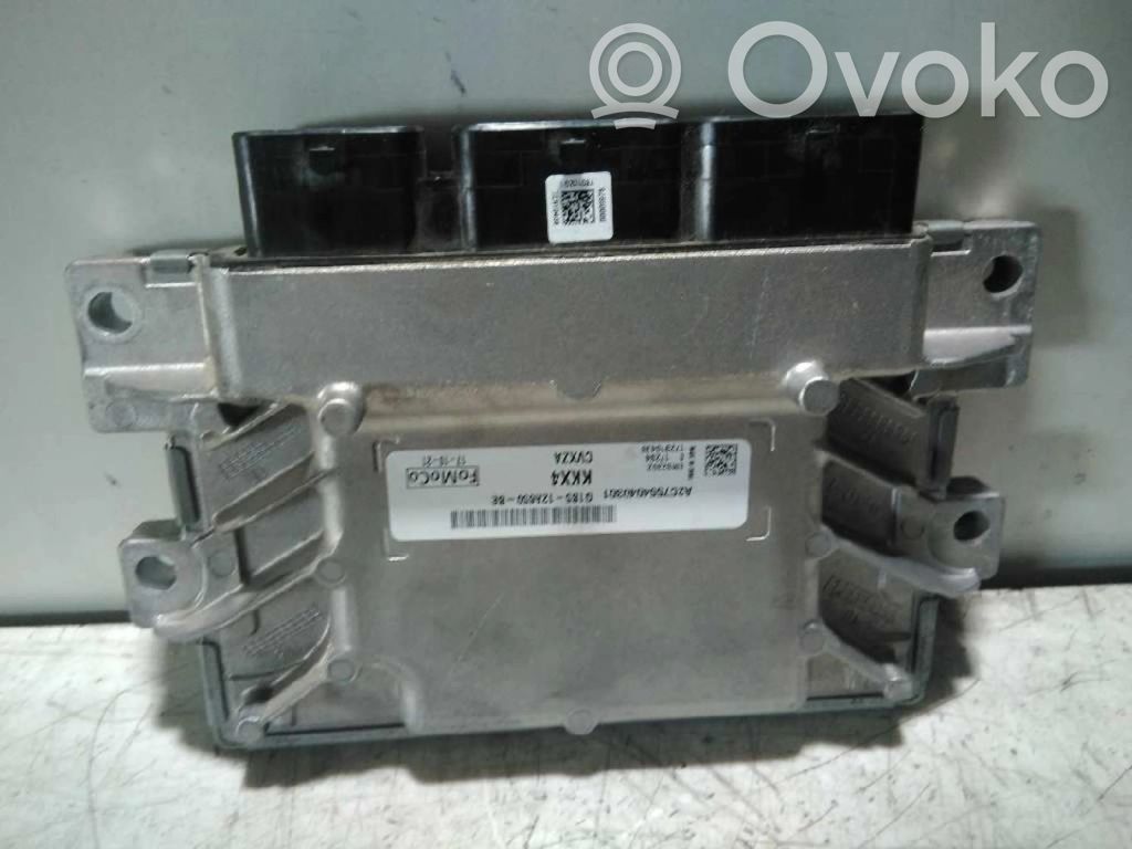 Engine control unit/module ECU   G1B512A650BE
