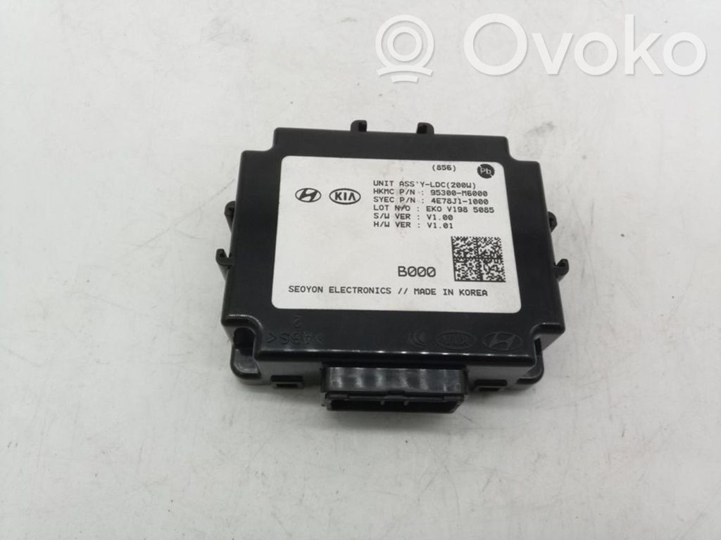 Engine control unit/module   95300M6000
