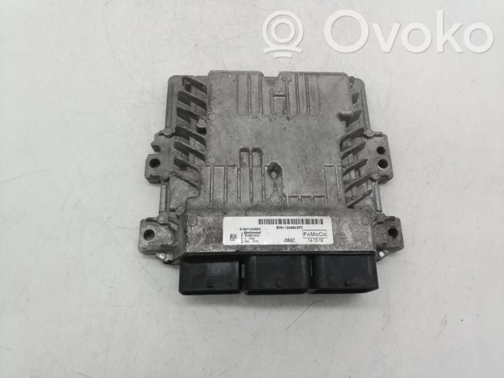 Ford Focus Engine control unit/module ECU 