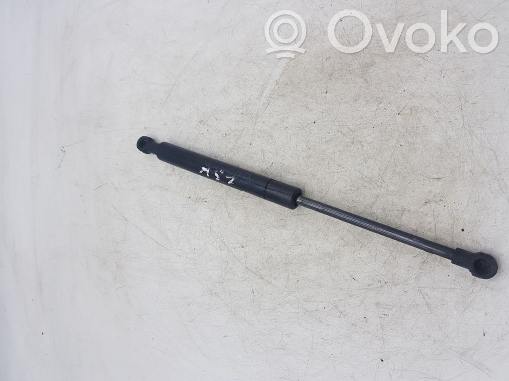 Vérin de capot arrière   E46FK,51236202688,6202688
