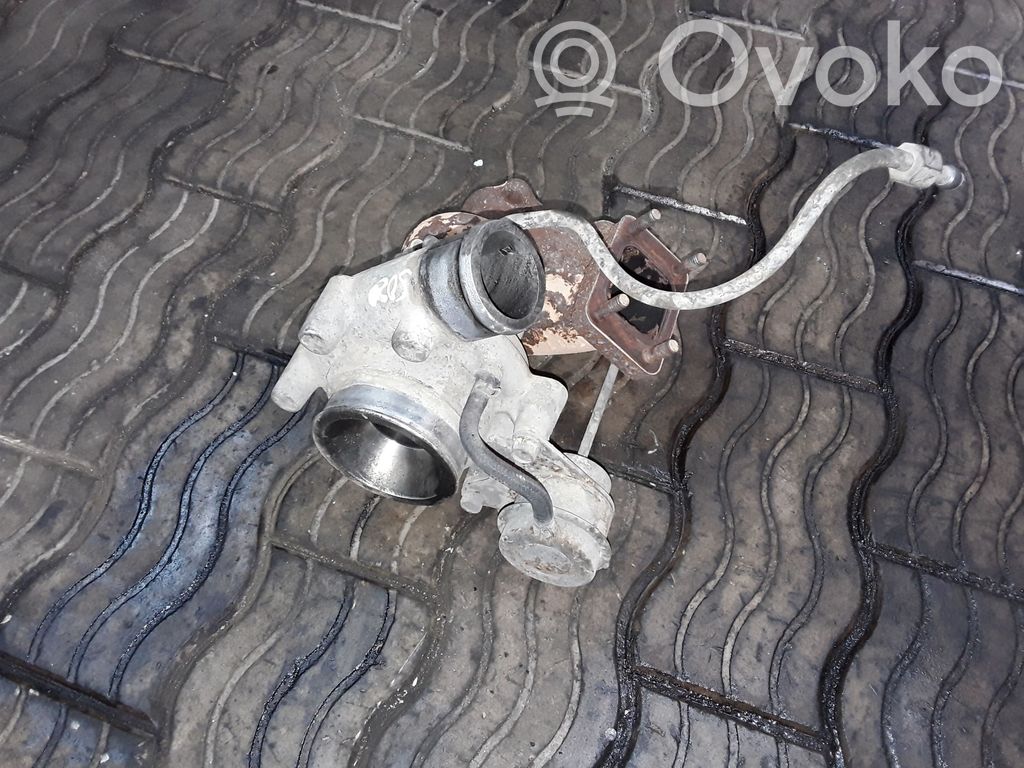 Turbo   504137713,7470774,4918902913