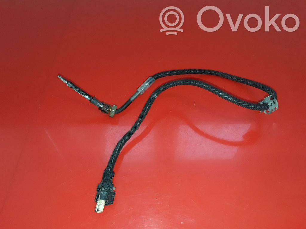 Abgastemperatursensor   A0009059704
