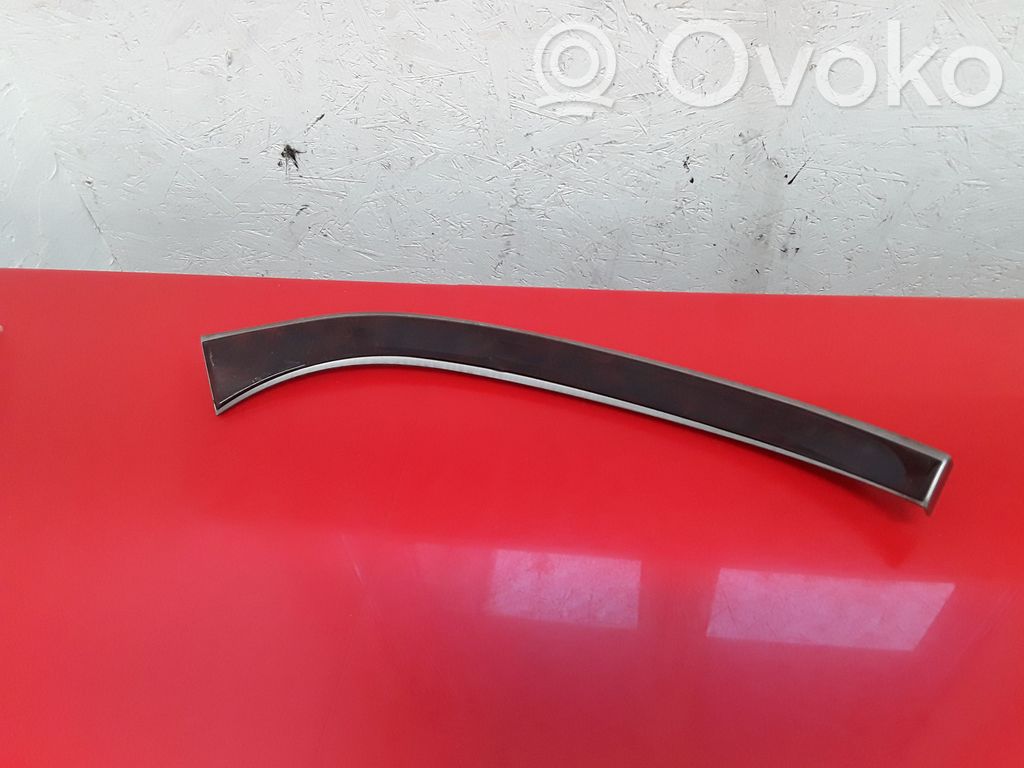 Moldura del panel (Usadas)   66078XA00A