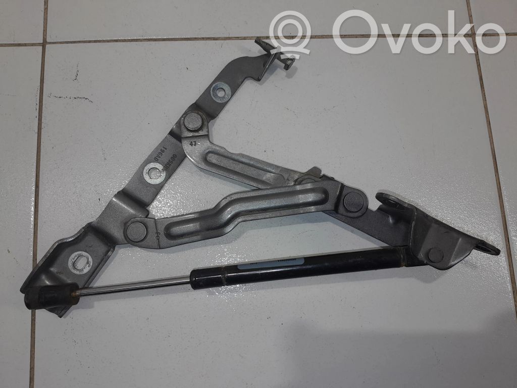 Tailgate/trunk/boot hinge   196AD