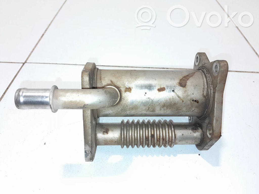 Dacia Dokker Refrigerador de la válvula EGR 