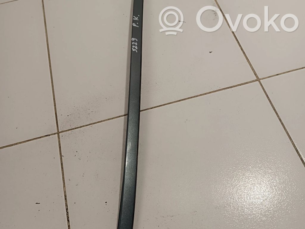 BMW X6 E71 Front door trim (molding) 