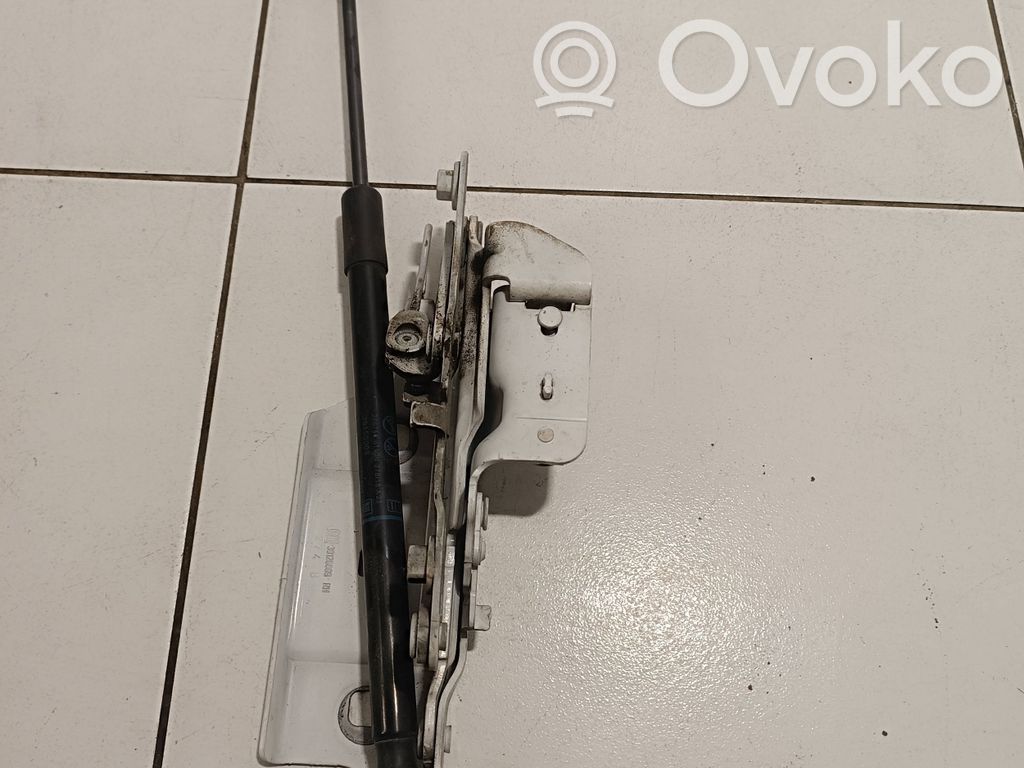 Opel Insignia B Engine bonnet/hood hinges 