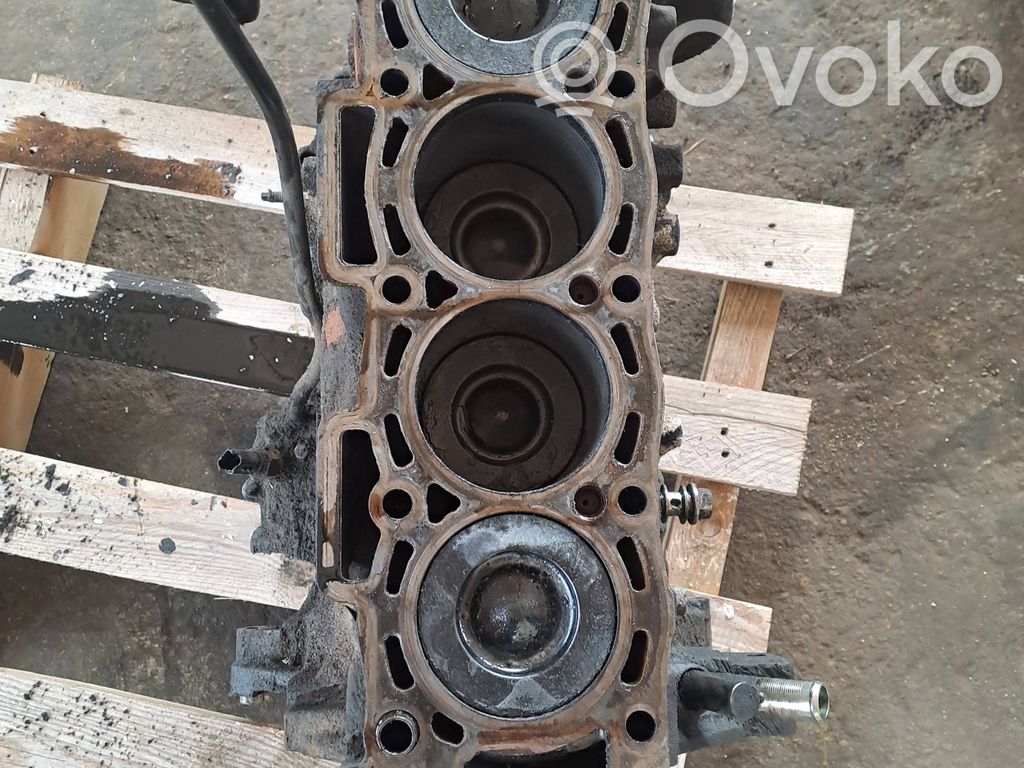 Ford S-MAX Motor 