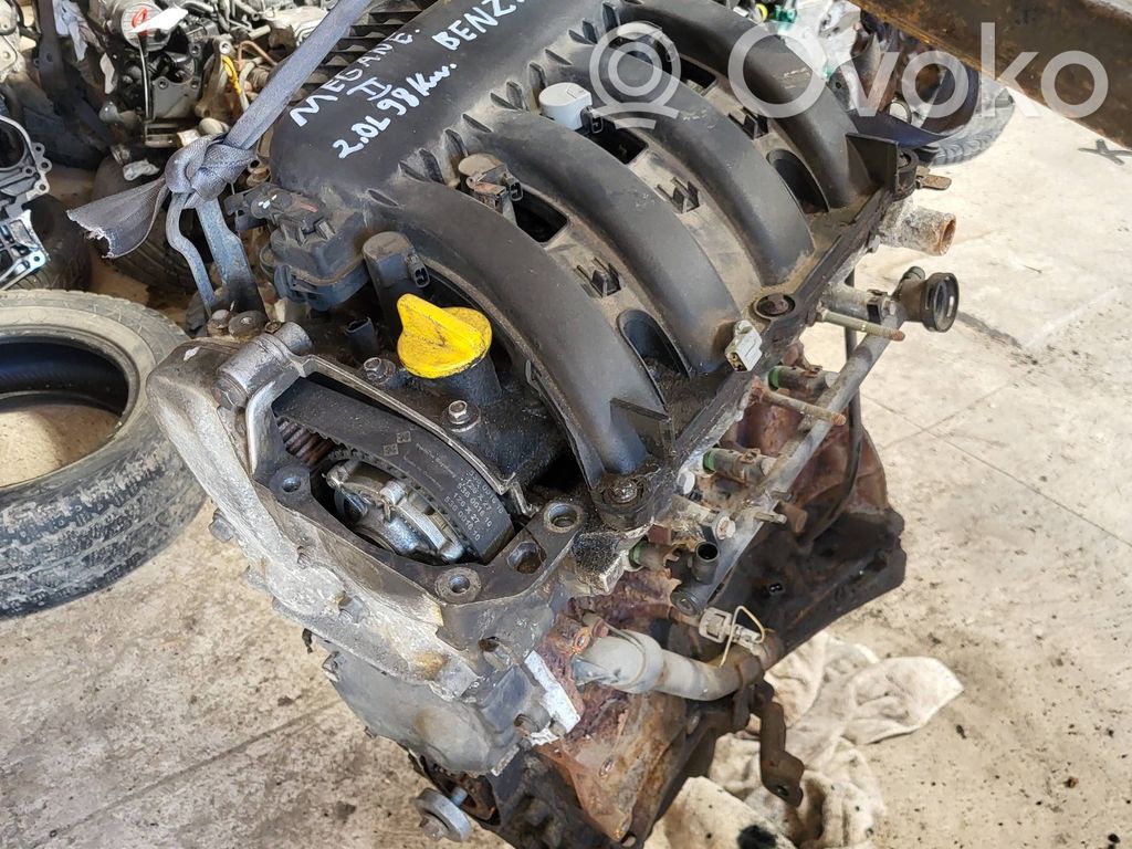 Motor